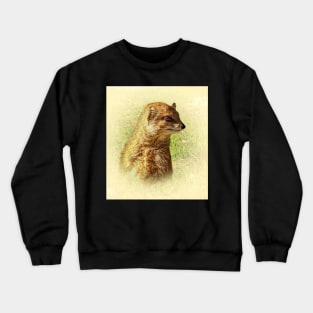 Yellow mongoose portrait Crewneck Sweatshirt